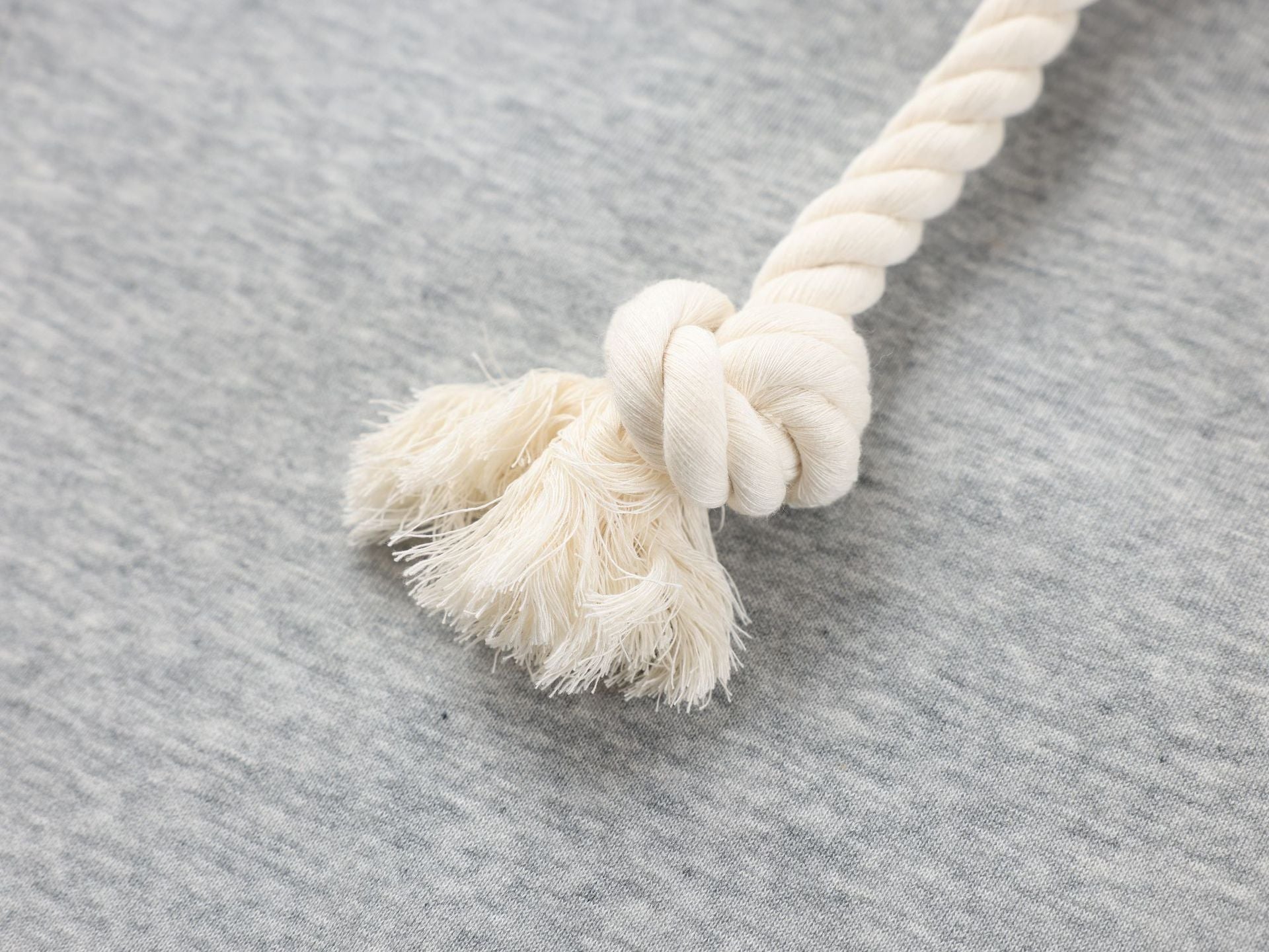 Lowen Rope Joggers