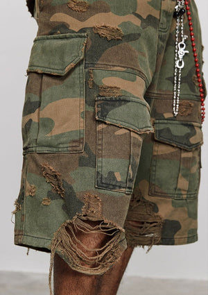 description_selected11