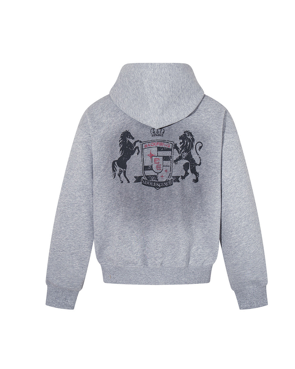 Aster Zip Up Hoodie , - Streetwear Hoodie - Slick Street