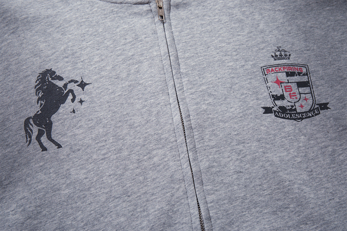 Aster Zip Up Hoodie , - Streetwear Hoodie - Slick Street