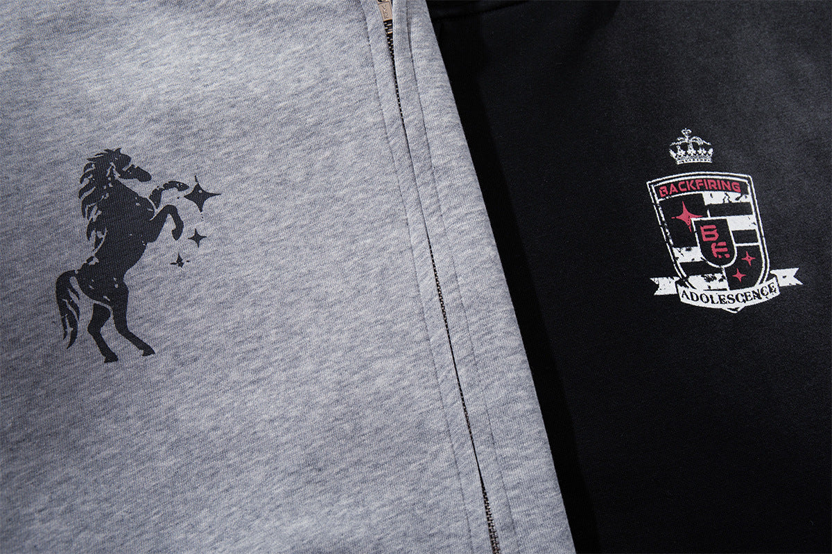 Aster Zip Up Hoodie , - Streetwear Hoodie - Slick Street